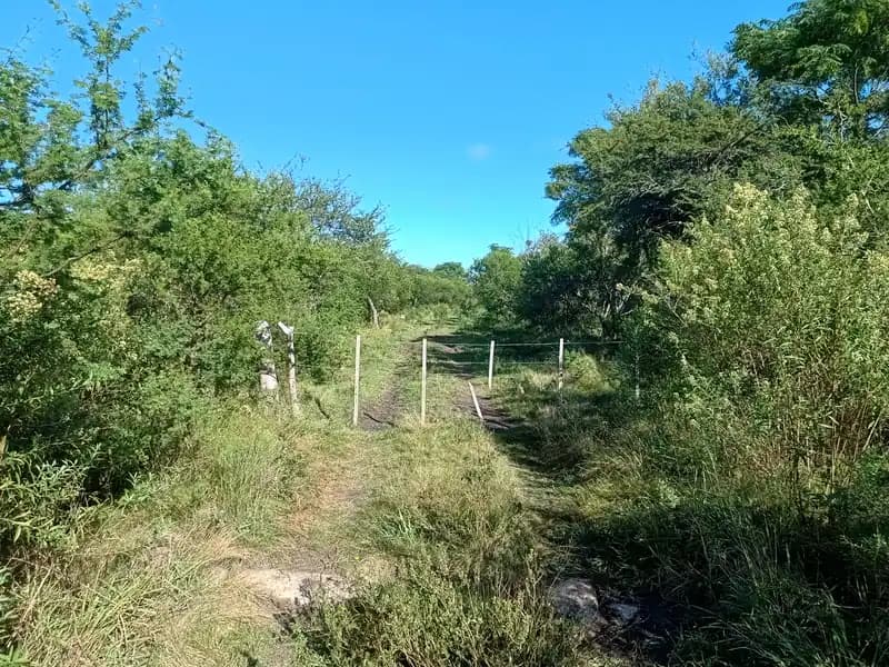 Campo en Lucas Norte Dpto. Villaguay