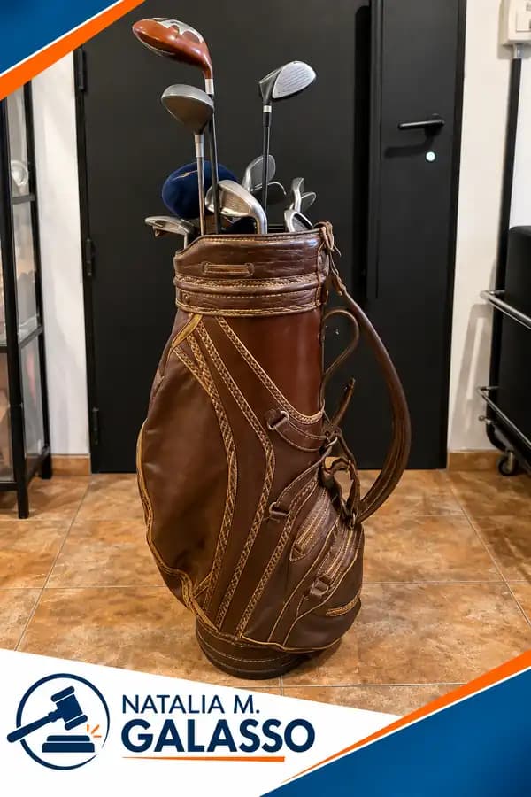 SET DE PALOS DE GOLF CON ESTUCHE DE CUERO