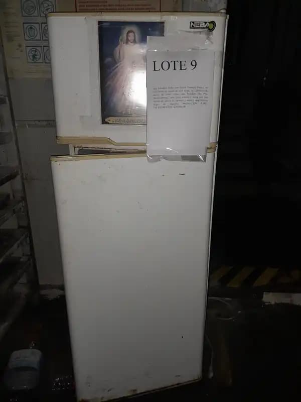 LOTE 9 - HELADERAS - CALEFACTOR - PAVA - CAFETERA