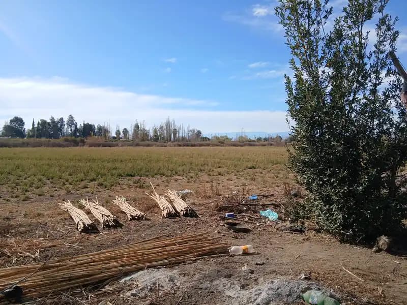 Terreno