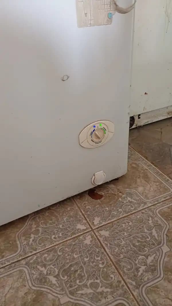 freezer GAFA