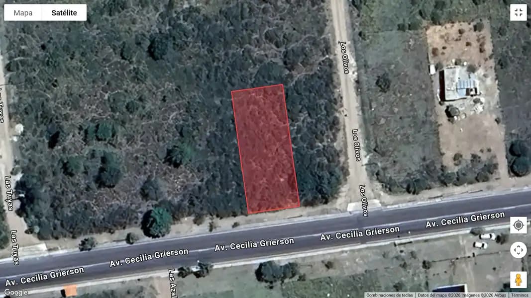 HERMOSO TERRENO EN LOS COCOS SOBRE AVDA GRIERSON
