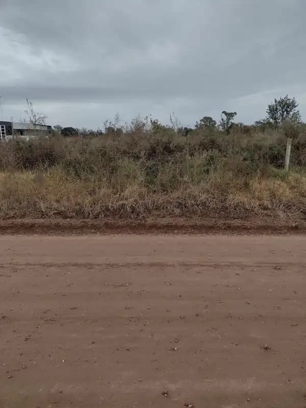 lote de terreno almafuerte