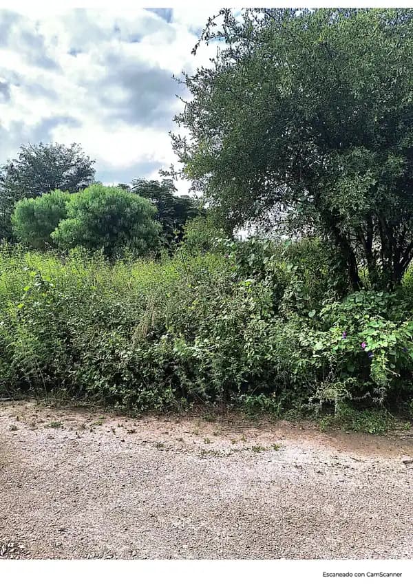 TERRENO 770,80 M2 MIRADOR DEL LAGO BIALET MASSE