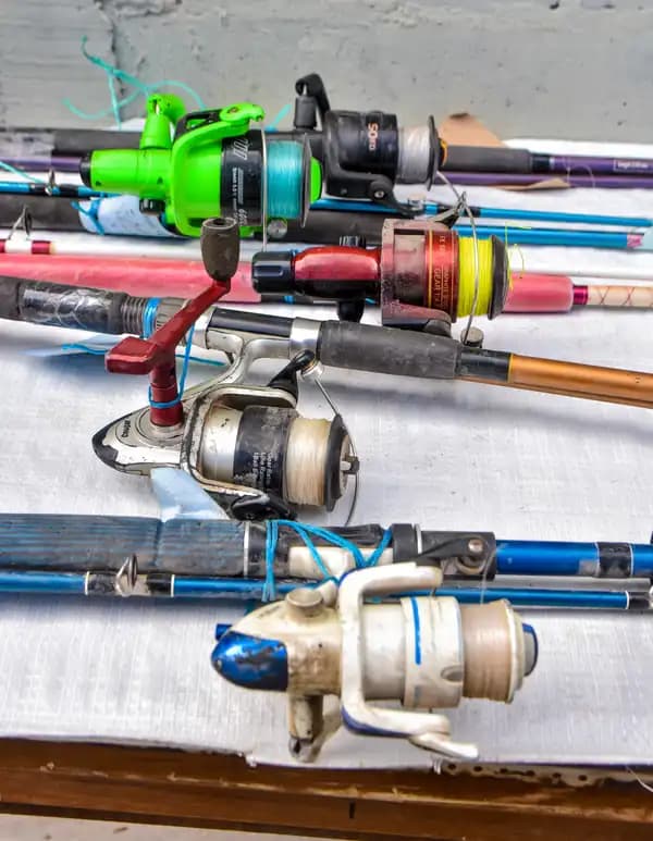 L40 - CINCO CAÑAS CON REELS