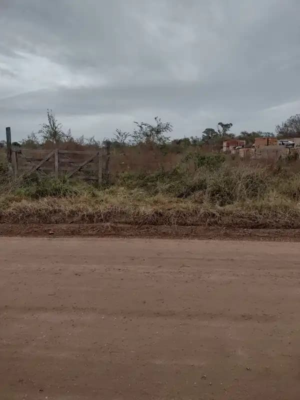 lotes de terrenos