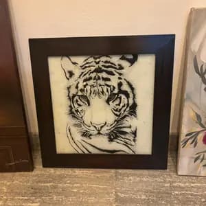 TIGRE
