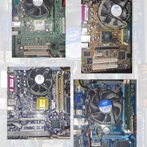 LOTE