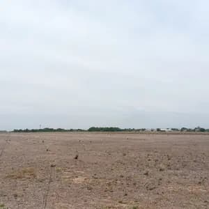 JUAREZ CELMAN 43 HECTAREAS