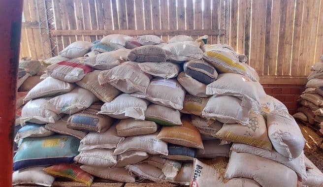 6680 KG APROX. GRANOS DE POROTO DE SOJA, ACONDICIONADOS EN 147 BOLSAS DE DISTINTOS TAMAÑOS. EN LAS CONDICIONES DE ALMACENAMIENTO QUE SE ENCUENTREN. NO APTOS PARA CONSUMO HUMANO. SOLO APTOS PARA UTILIZAR COMO GRANO-INSUMO EN LA FABRICACIÓN DE ALIMENTOS BALANCEADOS PARA USO VACUNO, AVÍCOLA, PORCINO, OVINO, ETC. SE VENDEN EN EL ESTADO EN QUE SE ENCUENTRAN Y EXHIBEN. 26086GSM000097
