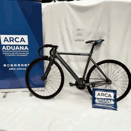 UNA BICICLETA – MARCA PRIME – MODELO ZF – RODADO 23 – N.º SERIE 15TM0206176 - NUEVA - ARMADATRIBUTAN IVA ALÍCUOTA 21% - FUNCIONAMIENTO SIN CONTROLAR - SE VENDEN EN EL ESTADO EN EL QUE SE ENCUENTRAN Y EXHIBEN - ACTA 109/2017