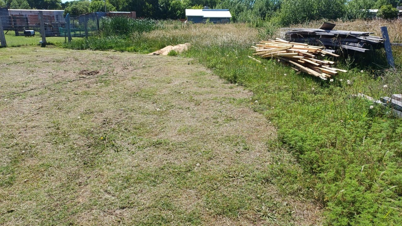 LOTE BALDÍO ubicado en calle 16 e/ 49 y 50 de Santa Teresita. DESOCUPADO.