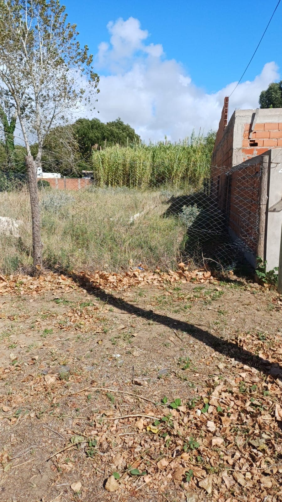 LOTE BALDÍO ubicado en calle Av 8 e/ calle 49 y Av. 50, de SANTA TERESITA.- DESOCUPADO