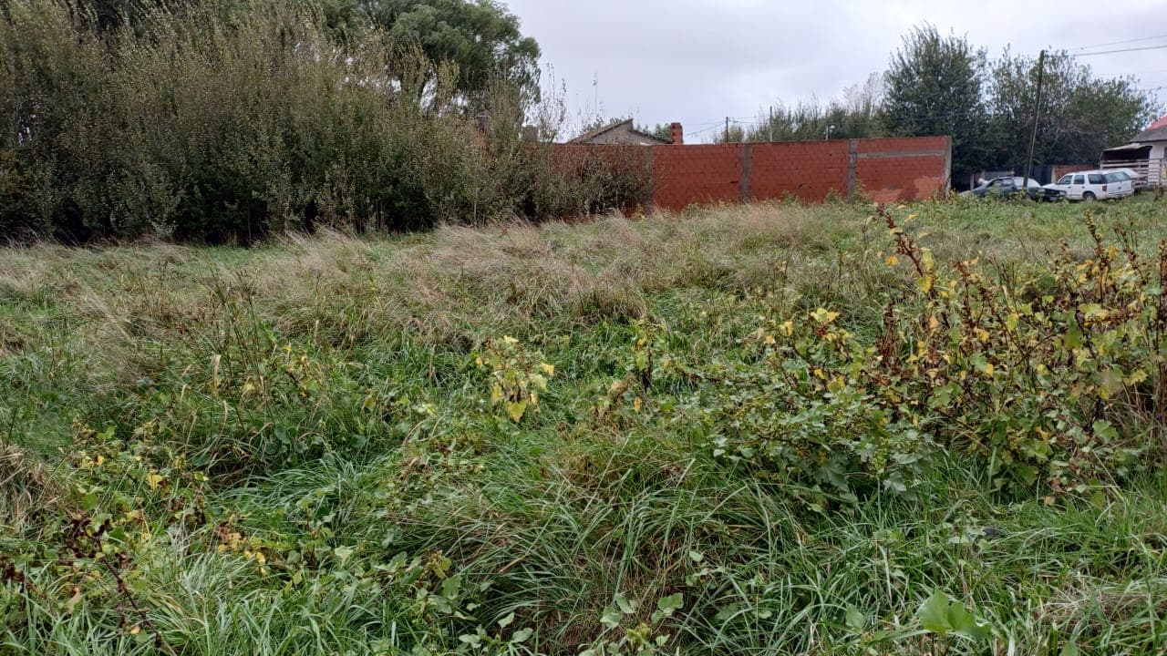 LOTE BALDÍO ubicado en calle Avda. 12 e/ calle 59 y Av 58 de Mar del Tuyú. DESOCUPADO.