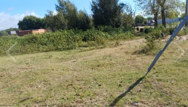 LOTE BALDÍO ubicado en Esquina Calle Mejía y P.B. Palacios, de MAR DE AJO.DESOCUPADO