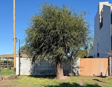 LOTE DE TERRENO BALDIO EN TRES ARROYOS