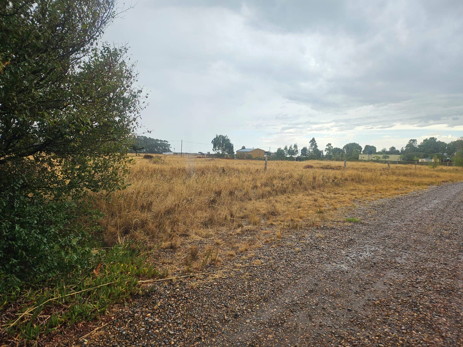 SUBASTA EN DOLARES - LOTE DE TERRENO EN RINCON DEL BANCO, SAN BLAS.