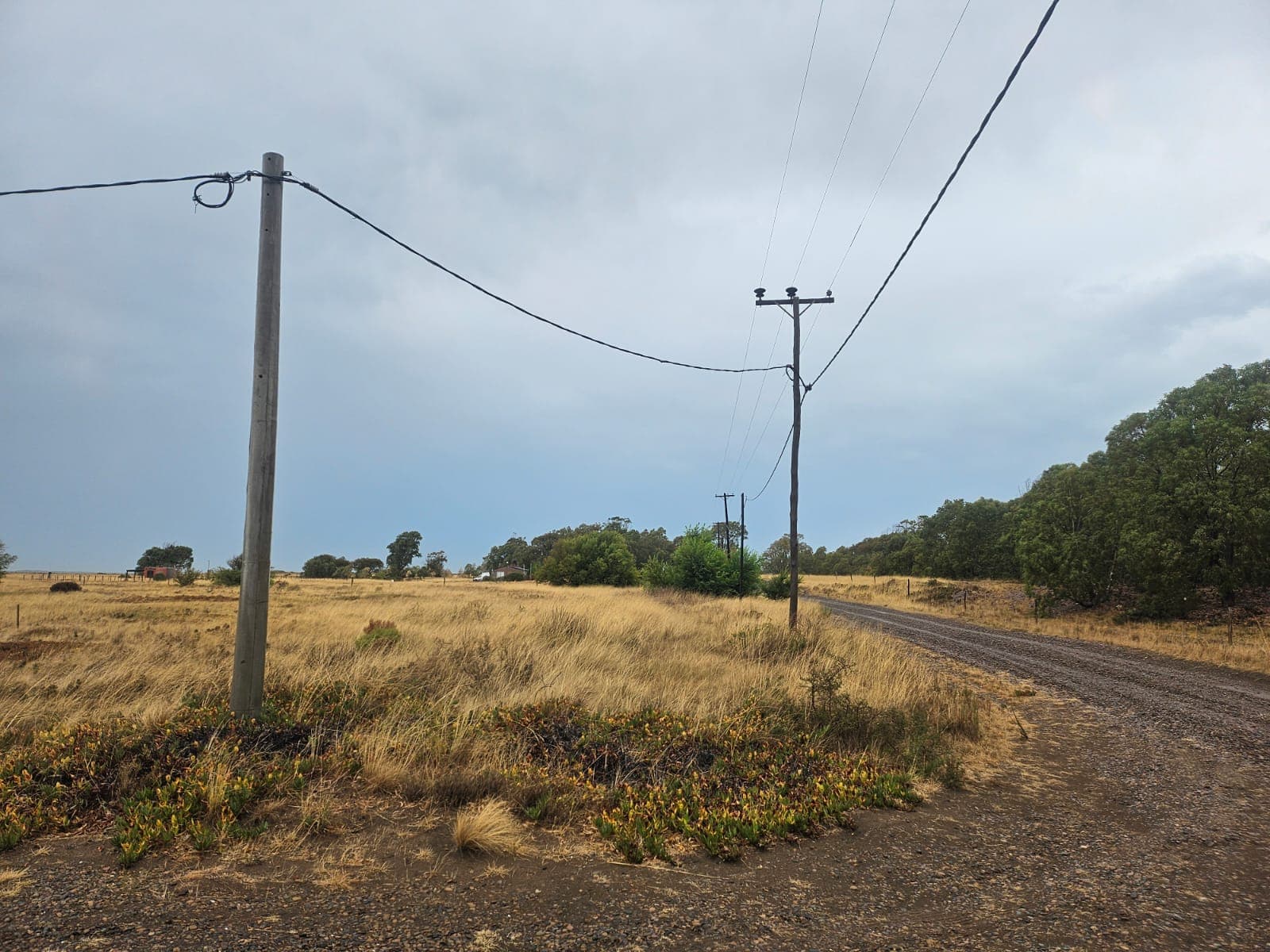 SUBASTA EN DOLARES - LOTE DE TERRENO EN RINCON DEL BANCO, SAN BLAS.