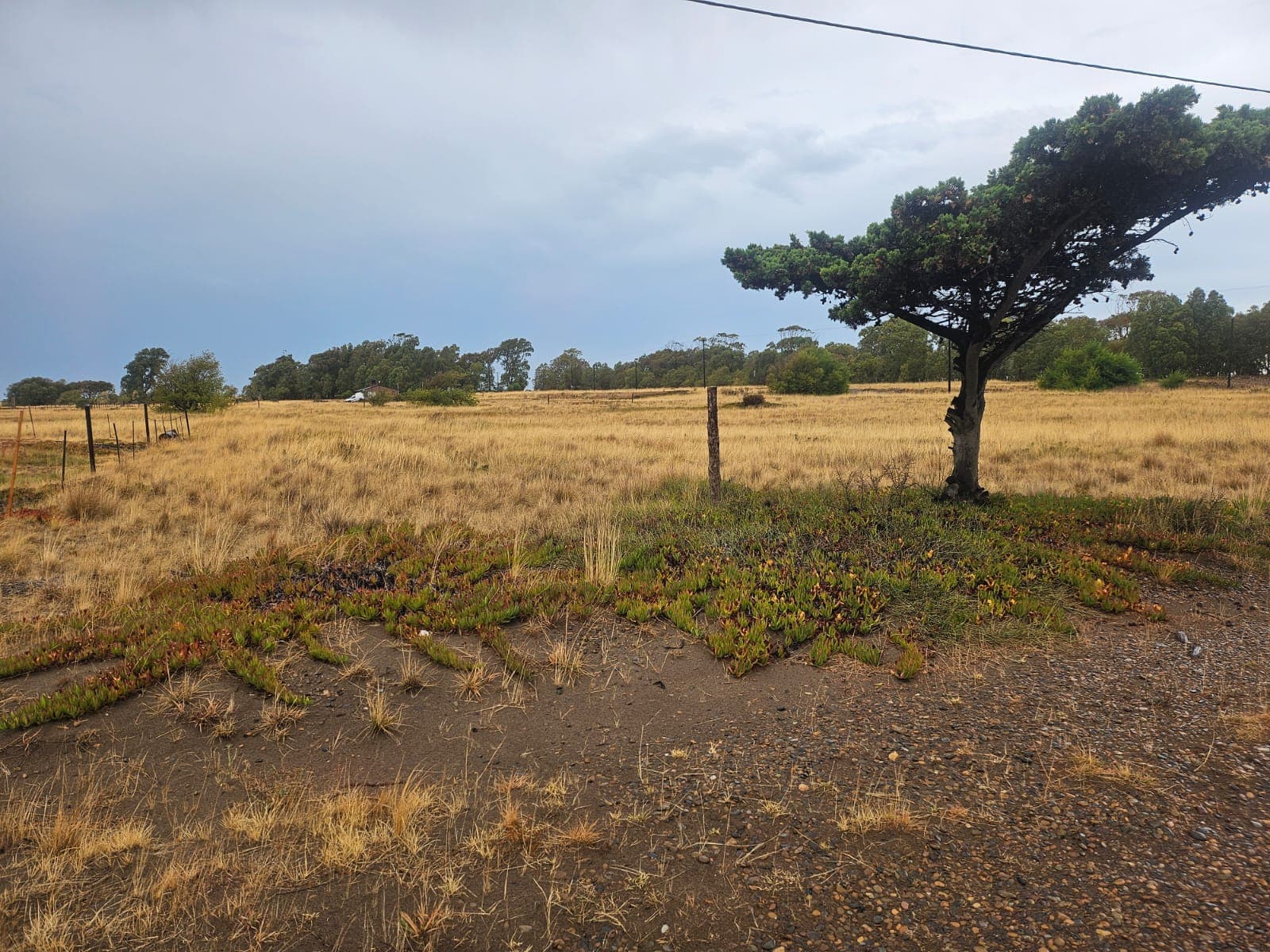 SUBASTA EN DOLARES - LOTE DE TERRENO EN RINCON DEL BANCO, SAN BLAS.