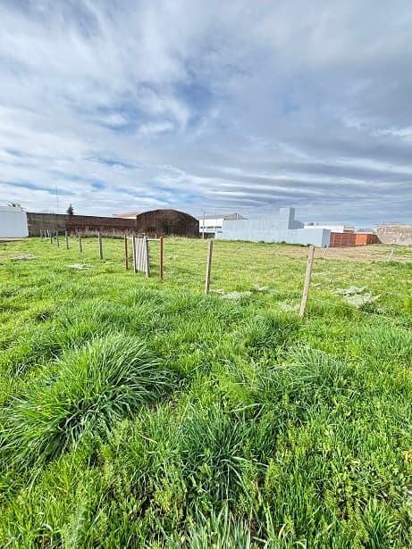 LOTE DE TERRENO BALDÍO EN TRES ARROYOS
