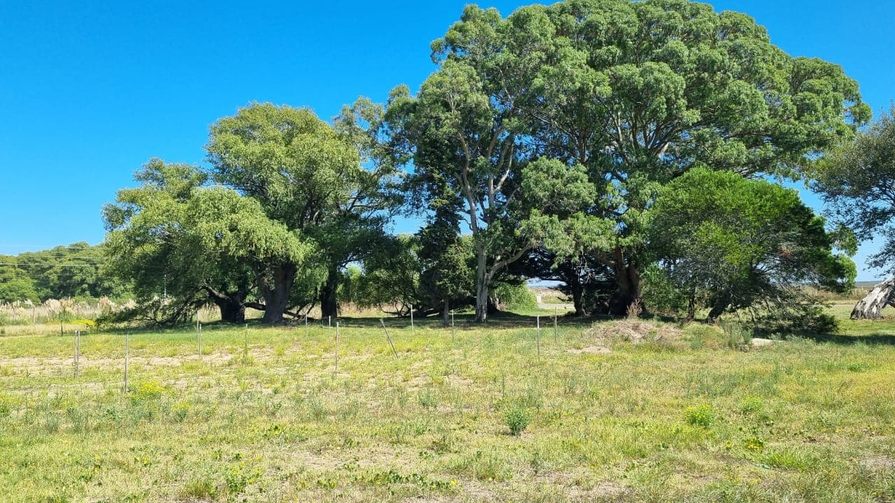EN DÓLARES- VILLA GESELL- OCUPADO- FRACCIÓN DE CAMPO CON CASA- PCIA. BUENOS AIRES-