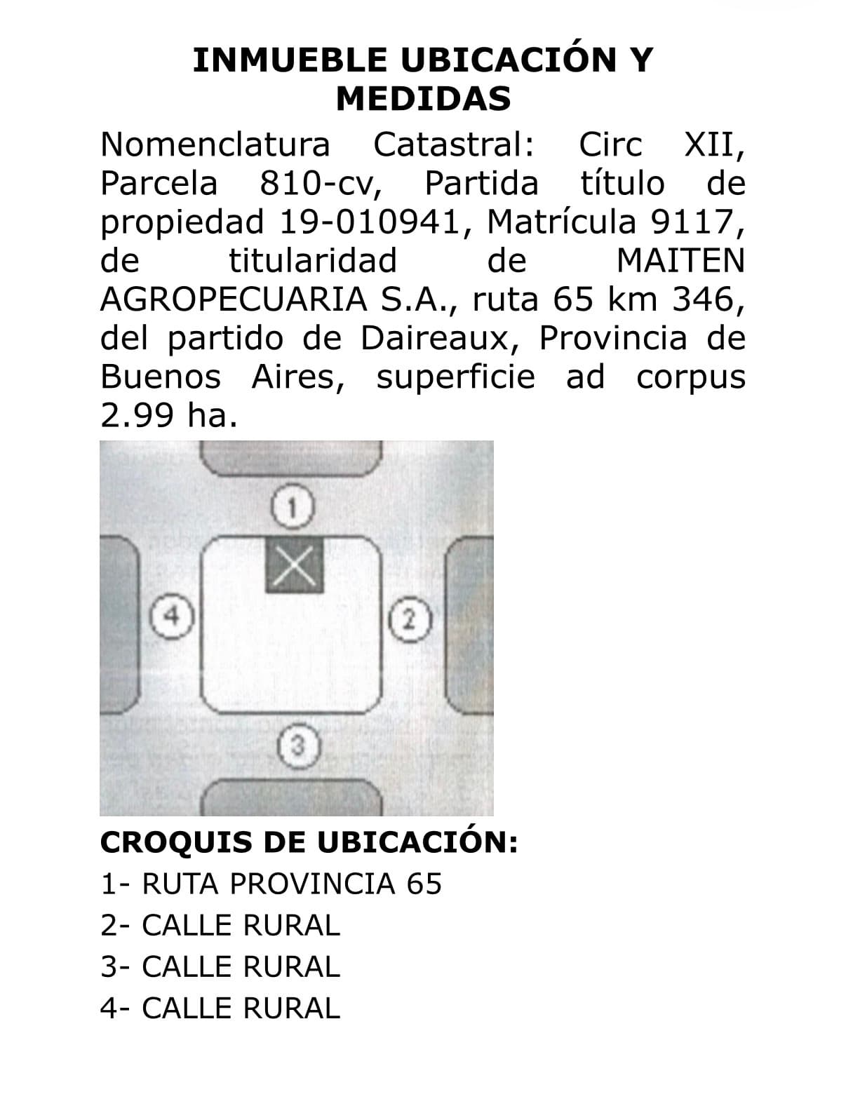 EN DÓLARES- DAIREAUX-PLANTA DE ALMACENAMIENTO DE GRANOS CON LOS BIENES MUEBLES Y MARCAS- PCIA. BS.AS